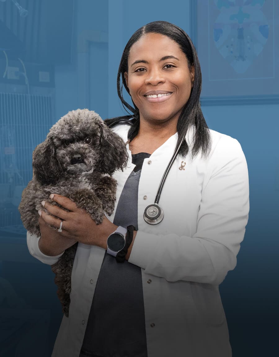 Smiling Female Vet Small Dog