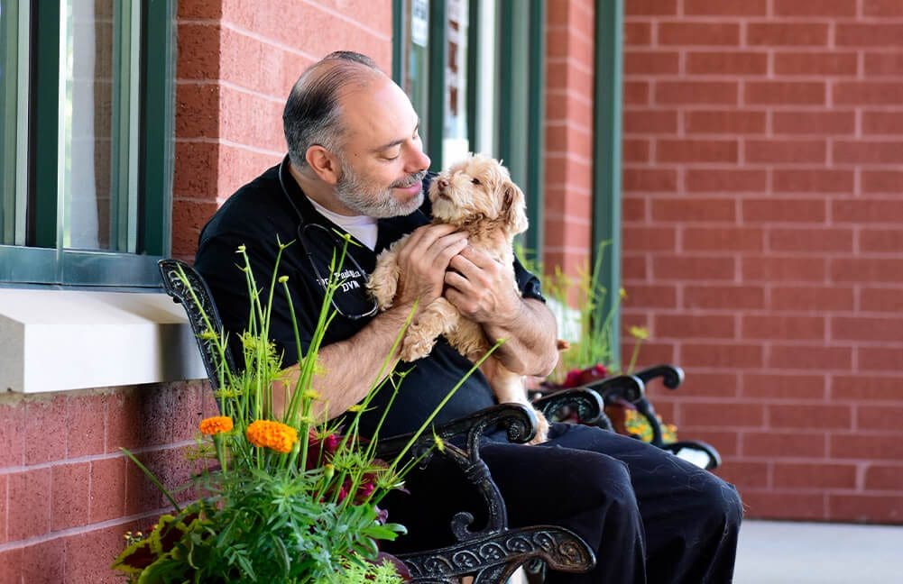 Male Vet Sitting With Small Dog