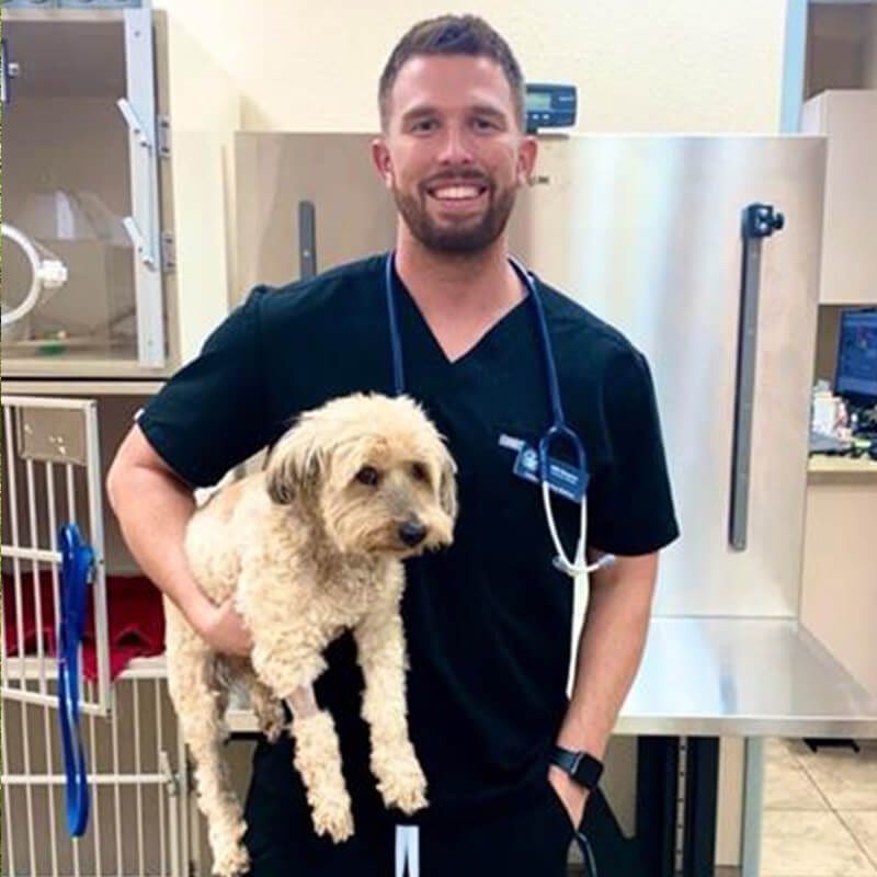 Dr Will Beeson Holding Dog