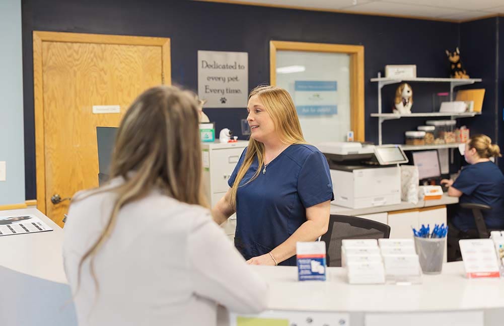 customer service representative talks and laughs with client