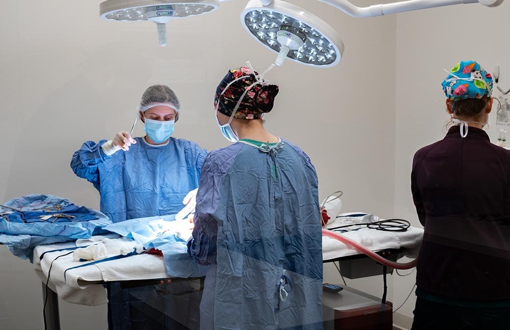 team working together during surgery