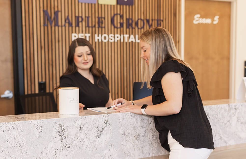 Client With Receptionist At The Front Desk Of Maple Grove Pet Hospital
