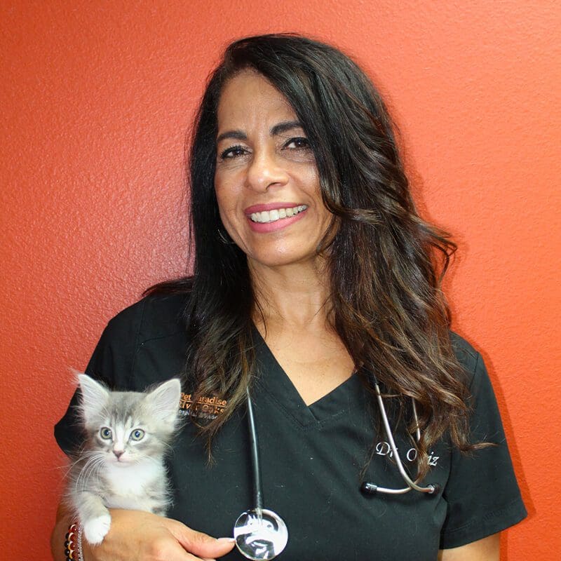 Dr Ana Ortiz With Kitten