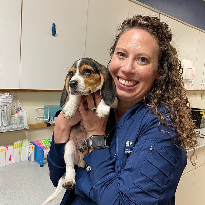 puppy in exam with dr elliot
