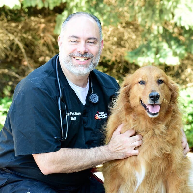 Dr Paul Blaso With Golden Retriever