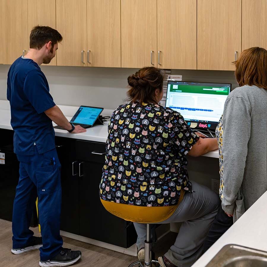 team using computer and tablet