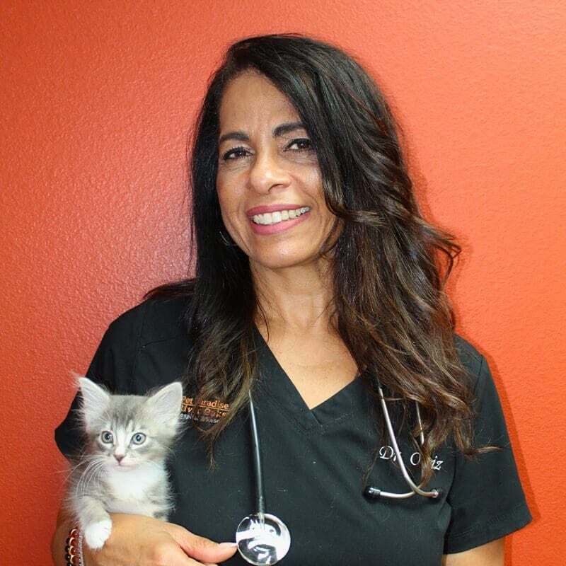 Dr Ana Ortiz With Kitten