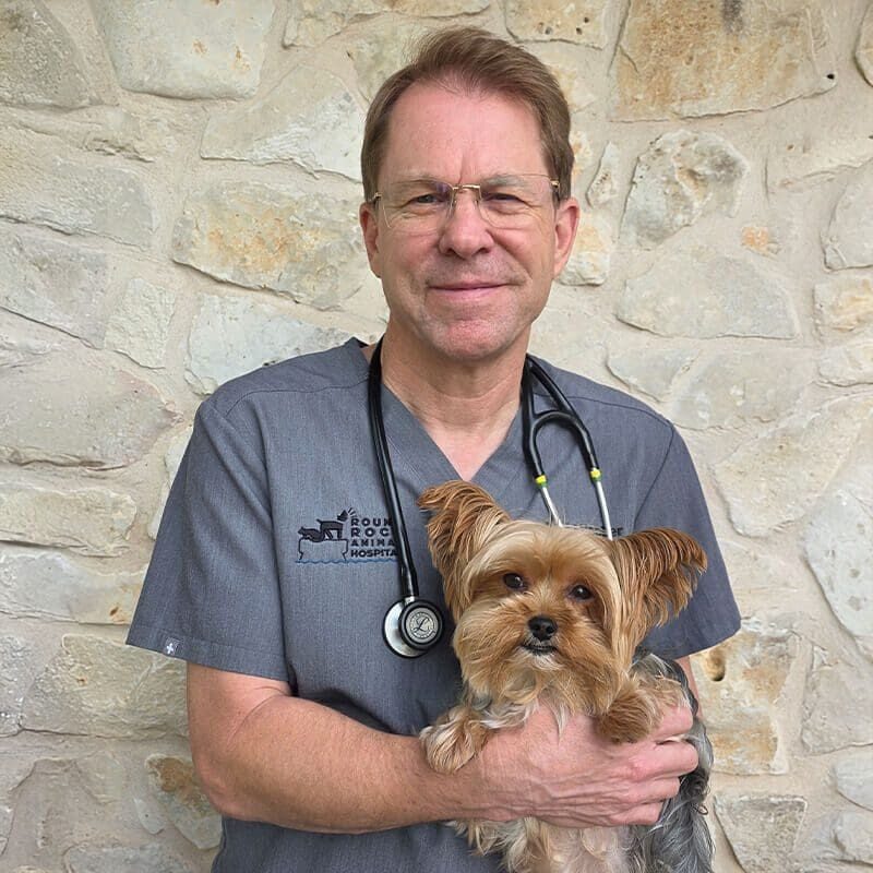 Dr David Hocher With Brown Yorkie