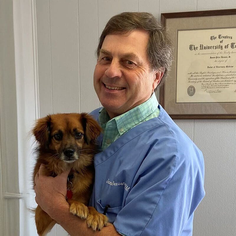 Dr James Beeson With Brown Dog