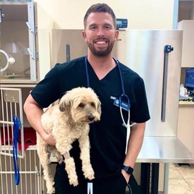 Dr Will Beeson Holding Dog