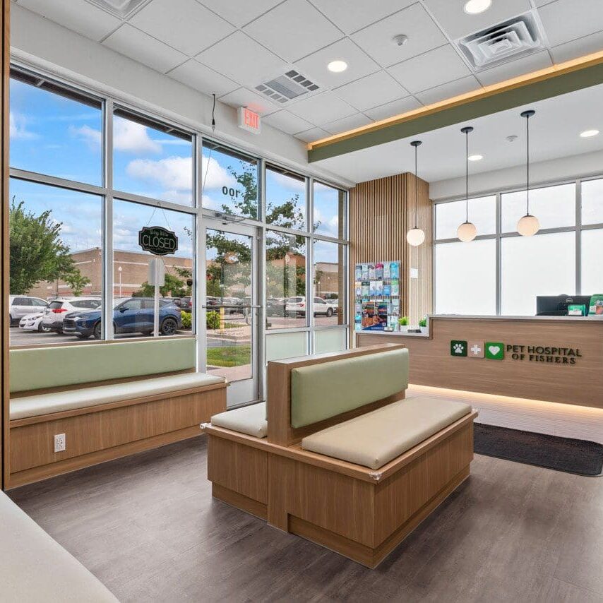 waiting area of Pet Hospital of Fishers