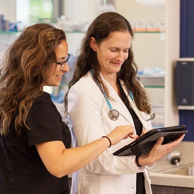 veterinarian and vet tech looking at a tablet