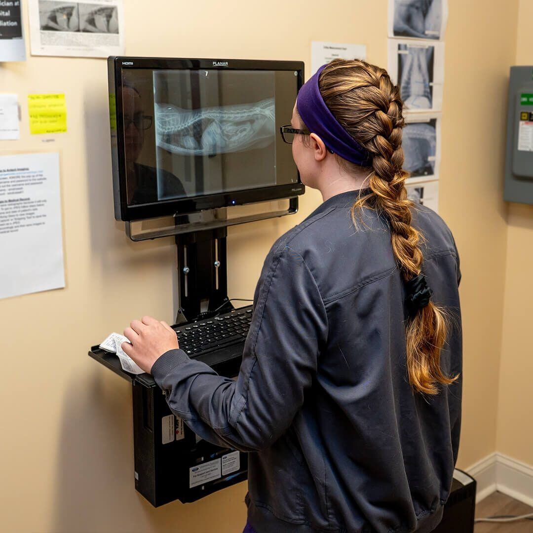 Tech Looking At Xray