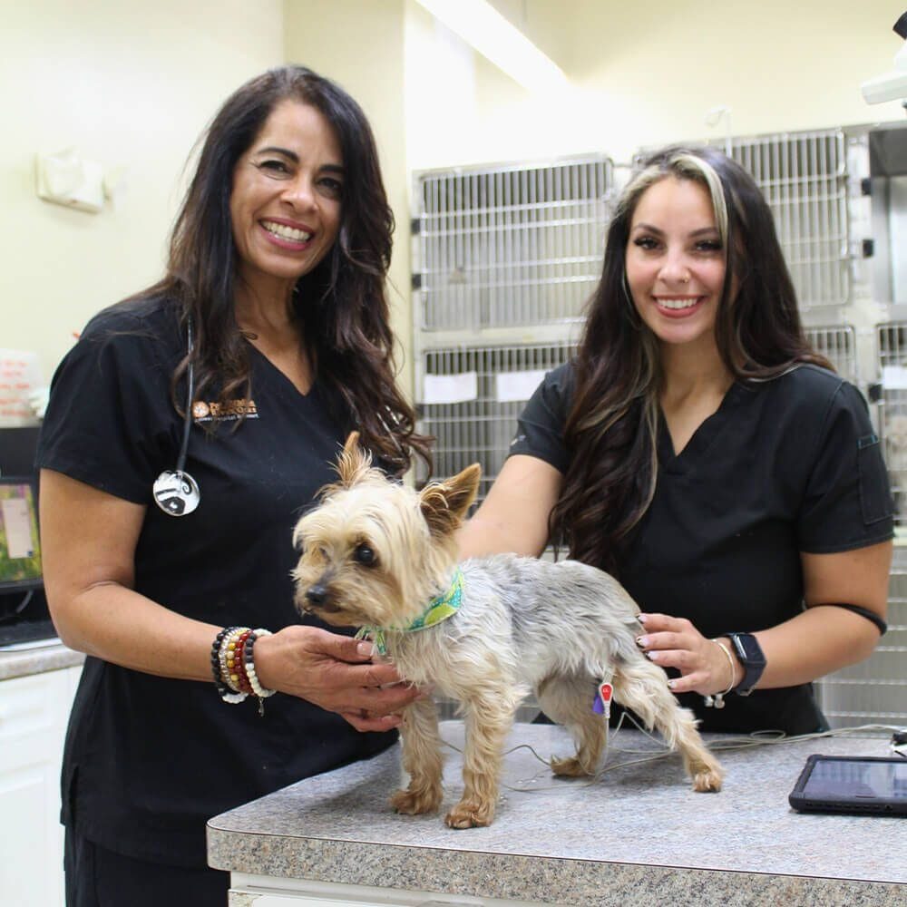 female vet and tech with yorkie smiling for camera