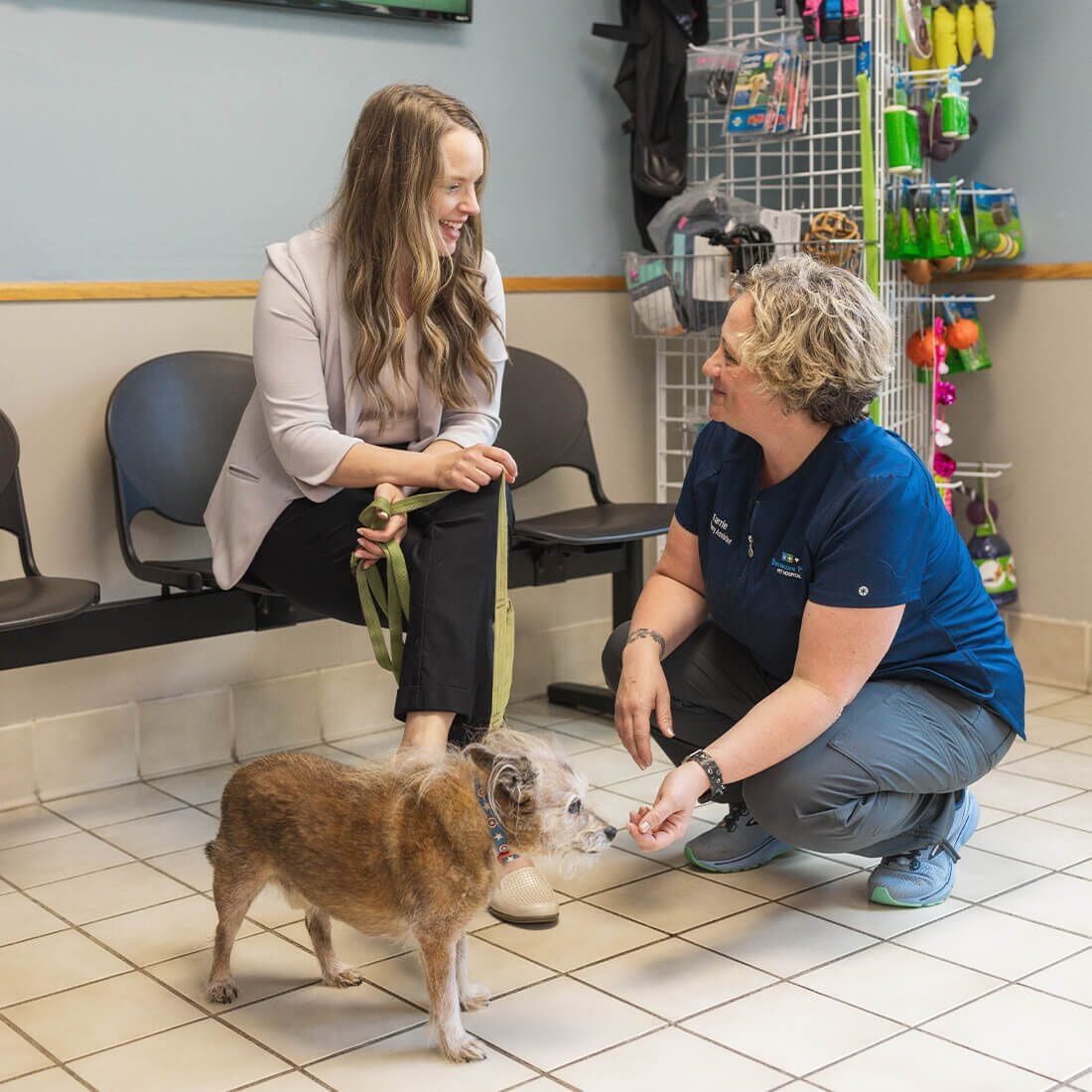 Vet Tech Kneeling With Dog