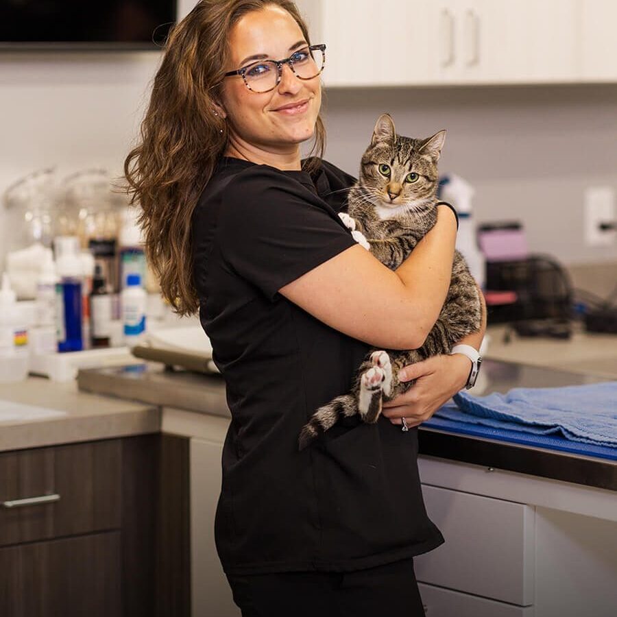 Young Vet Holding A Cat